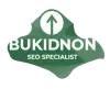 bukidnon seo specialist transparent